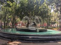 Coyoac&aacute;n - hei&szlig;t Kojote